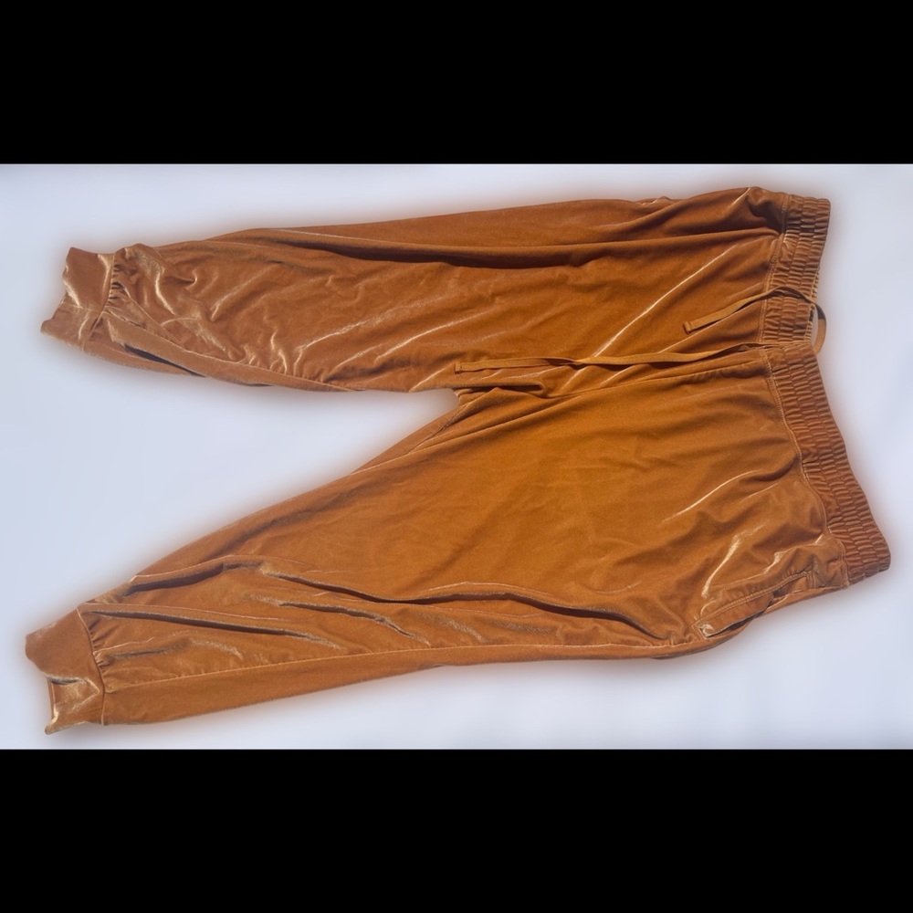 VGC Velvet Jogger Pants in Gold